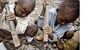 PABEA-COBALT: La CPI doit considérer le travail des enfants dans les mines comme un crime contre l’humanité